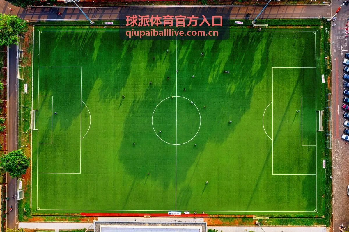 球派体育官方入口 - 葡萄牙国家队